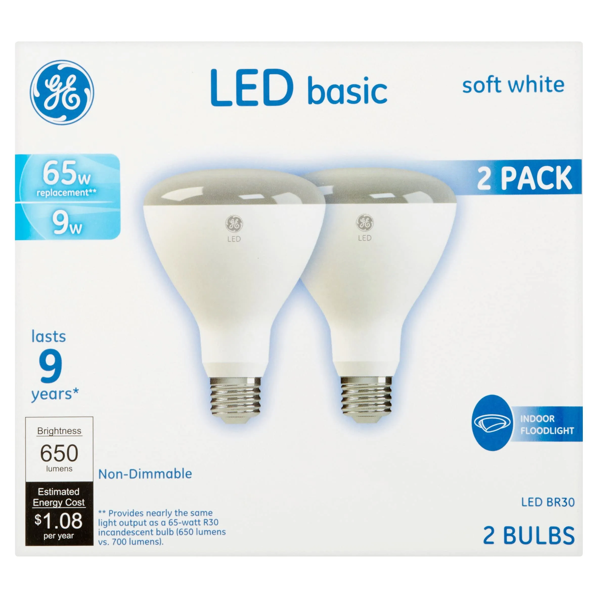 GE LED Indoor Floodlight